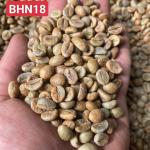 Mật ong đen Robusta Cà phê đậu xanh chất lượng cao 100% hữu cơ uống được ISO220002018 bao 60 kg Nhà sản xuất Việt Nam